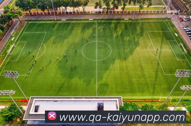 开云体育APP 高清赛事图